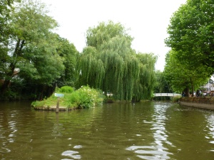River Wey at Millmead
